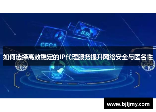 如何选择高效稳定的IP代理服务提升网络安全与匿名性 如何选择高效稳定的IP代理服务提升网络安全与匿名性