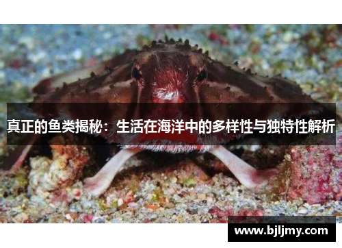 真正的鱼类揭秘:生活在海洋中的多样性与独特性解析 真正的鱼类揭秘:生活在海洋中的多样性与独特性解析